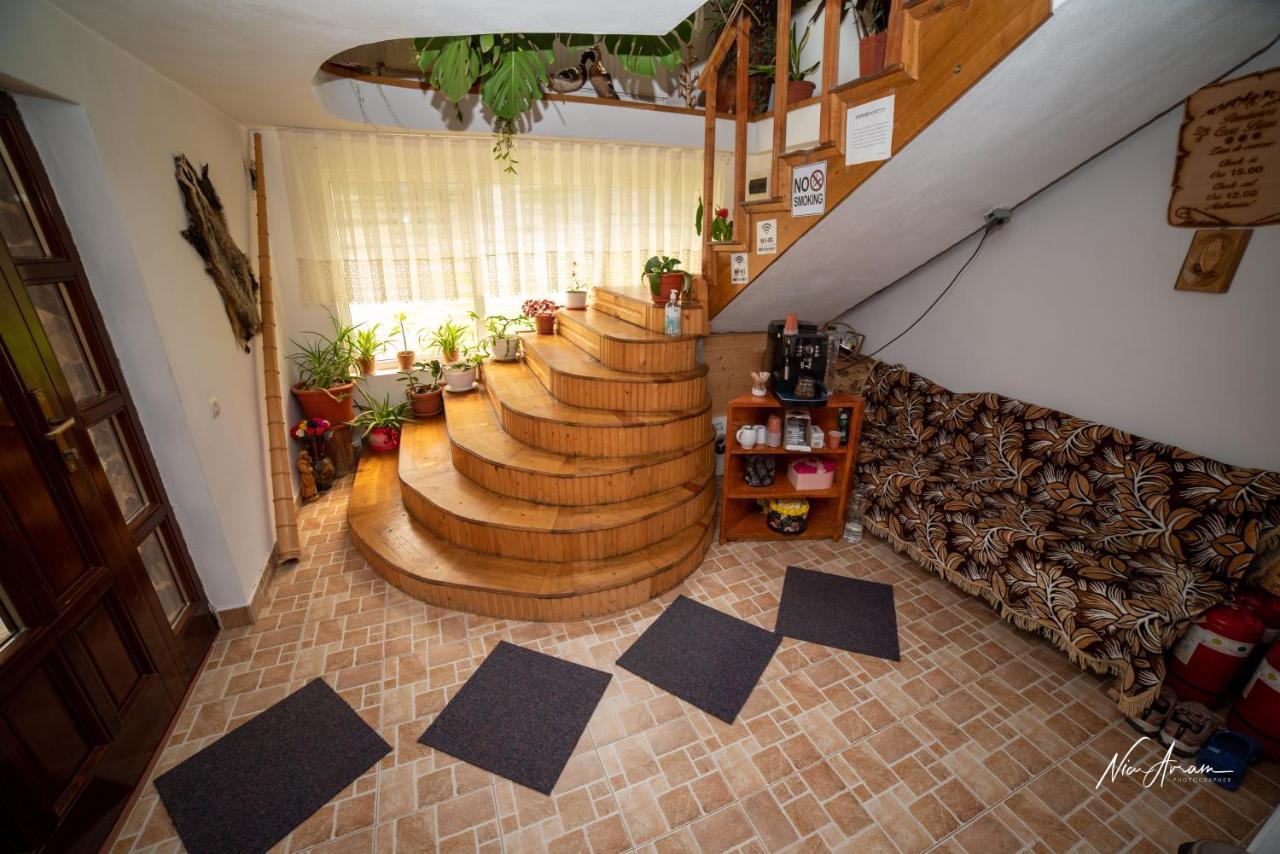 Hotel Casa Binu Arieşeni Zewnętrze zdjęcie