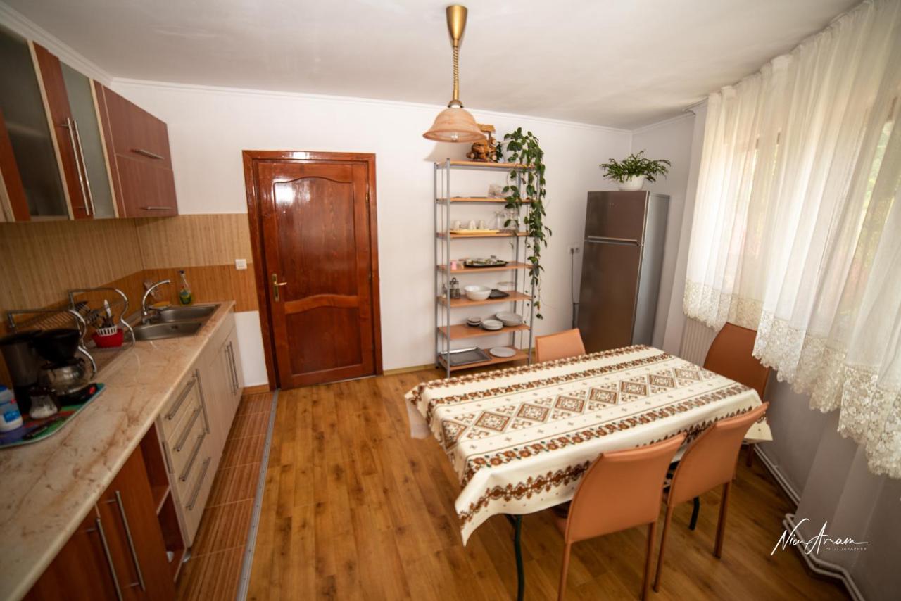 Hotel Casa Binu Arieşeni Zewnętrze zdjęcie