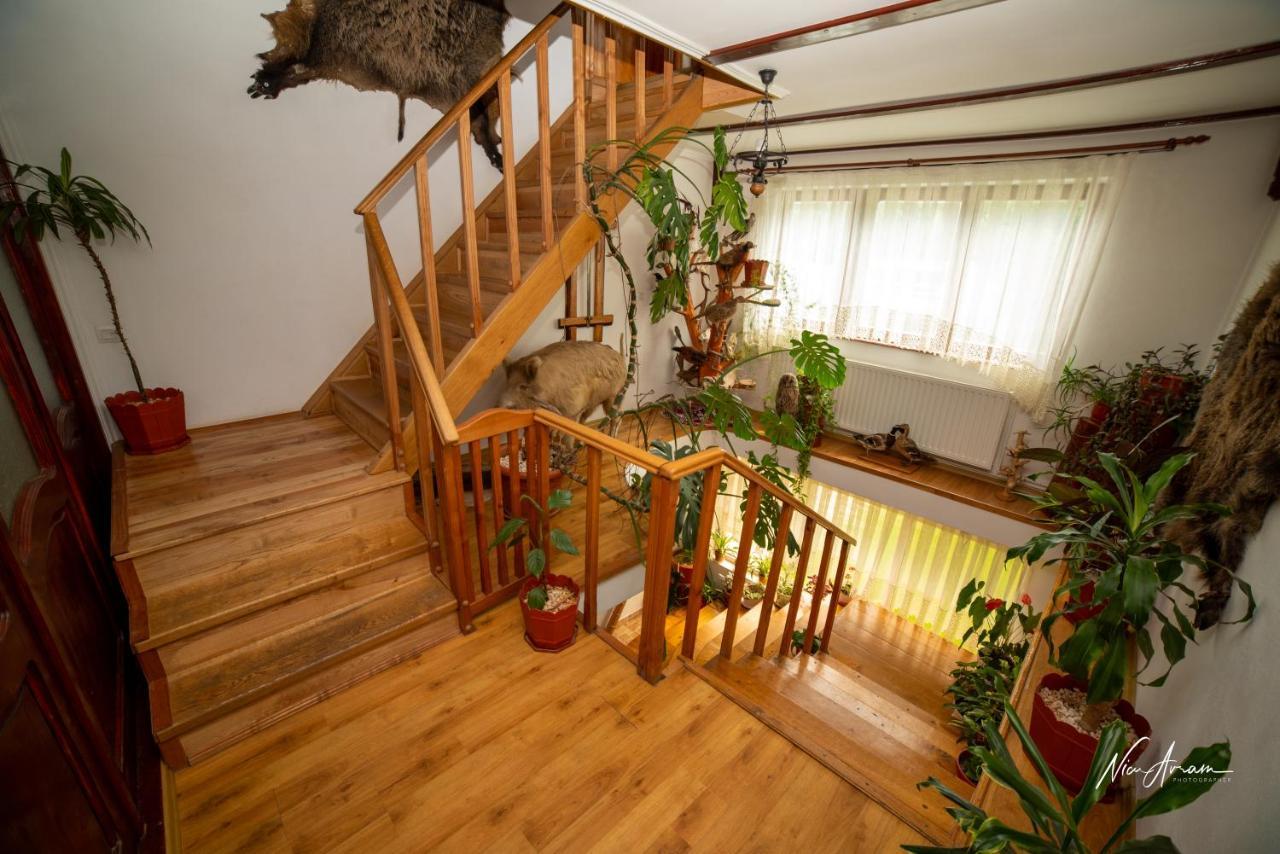 Hotel Casa Binu Arieşeni Zewnętrze zdjęcie